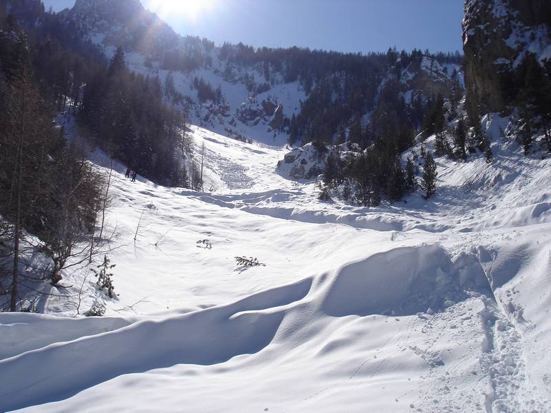 #10 Torrent du Colombier : Magnifique torrent du Colombier Torrent du Colombier : Magnifique torrent du Colombier