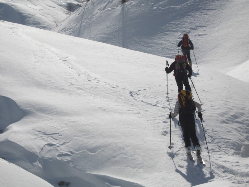 #18 Tête entre deux Sauts : dans le vallon d Tête entre deux Sauts : dans le vallon d'armina