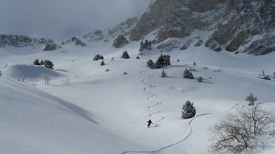 #5 Toz fait sa trace : sous Pierre Blanche Toz fait sa trace : sous Pierre Blanche