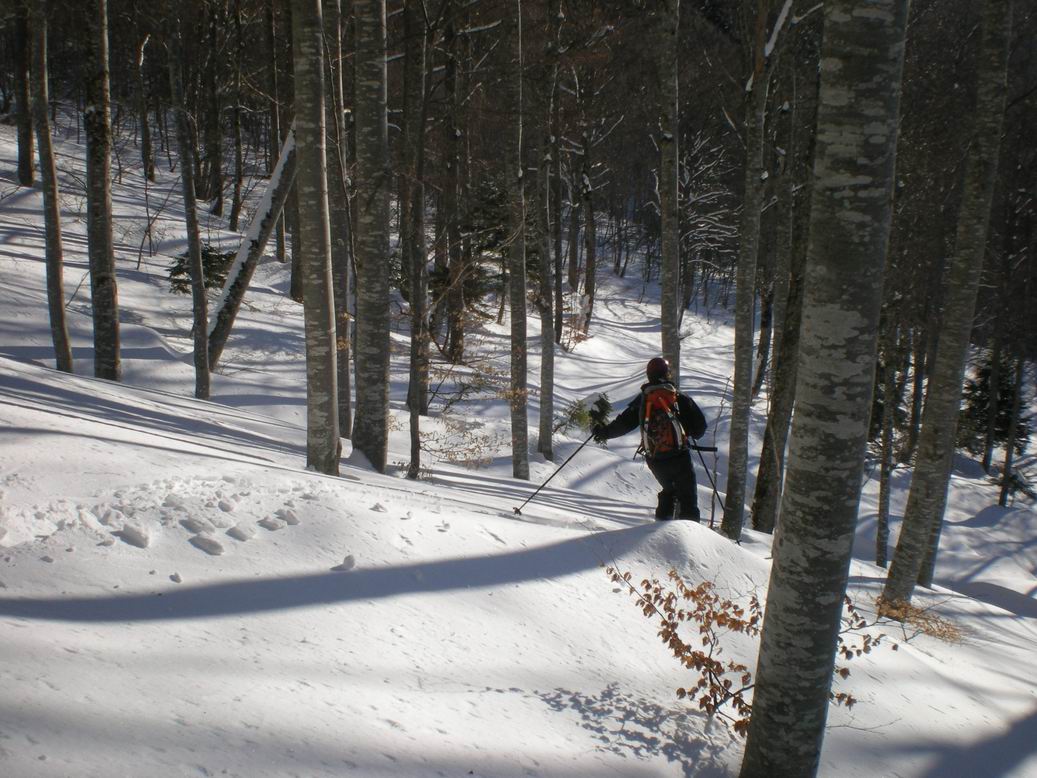#8 Goulot des Chaudières : Et la forêt est sympa... Goulot des Chaudières : Et la forêt est sympa...