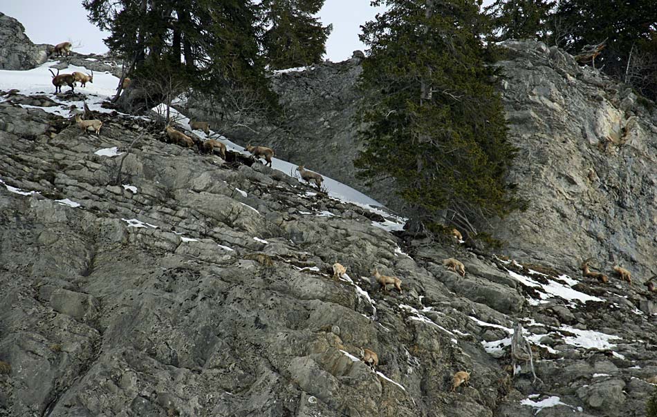 #3 Col du Rasoir : Il faut avouer que le coin est populeux. Col du Rasoir : Il faut avouer que le coin est populeux.