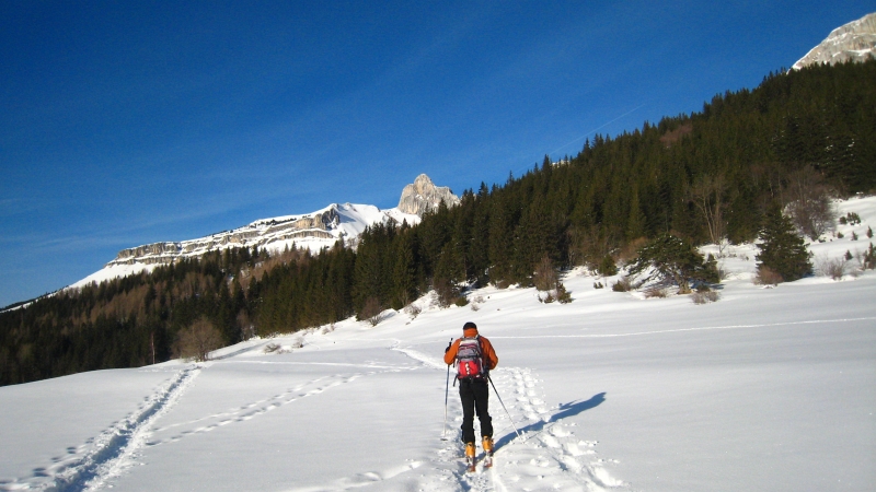 #18 Prairie de la Fauge : Traversée de la prairie de la Fauge Prairie de la Fauge : Traversée de la prairie de la Fauge
