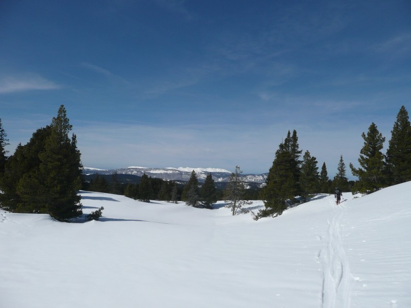 #7 Les hauts plateaux : Paysage nordique. Les hauts plateaux : Paysage nordique.