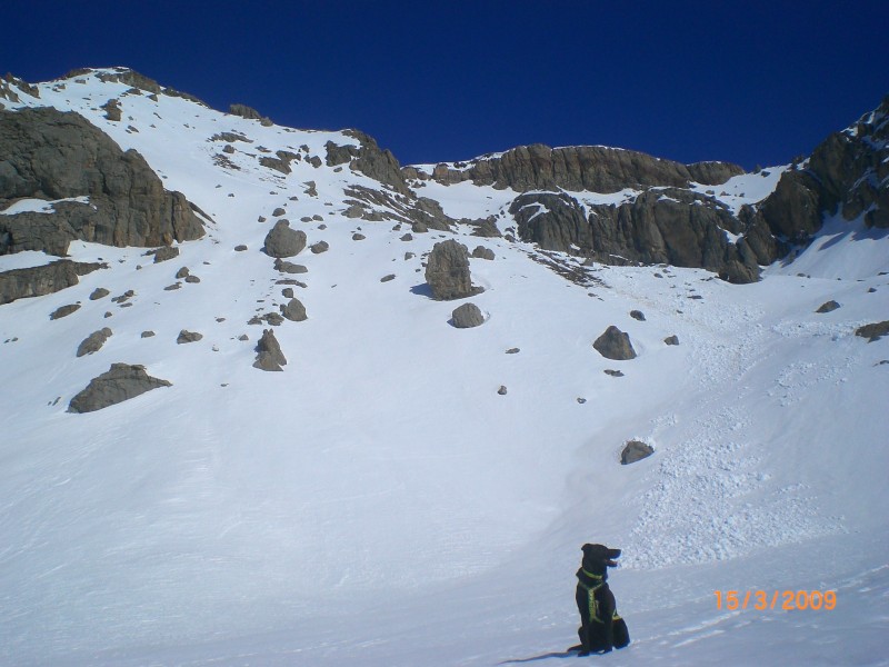 #3 face sud point 2877m : Vue depuis le vallon de Coste Blaou.
450 m de très bon ski. face sud point 2877m : Vue depuis le vallon de Coste Blaou.
450 m de très bon ski.