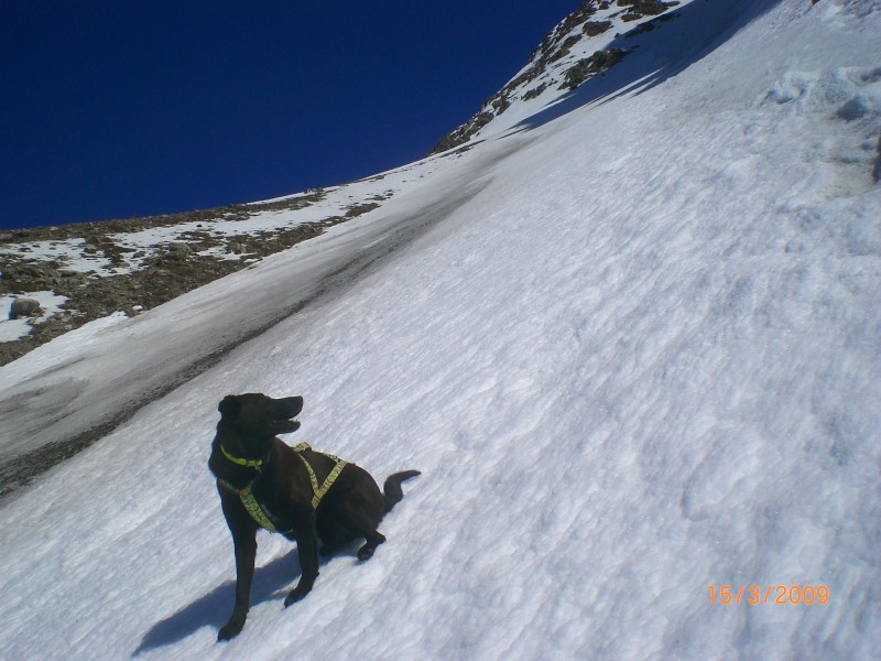 #4 Haut du ravin de Clot Lajas : Ce ravin prend le soleil tard (après 11h) Haut du ravin de Clot Lajas : Ce ravin prend le soleil tard (après 11h)