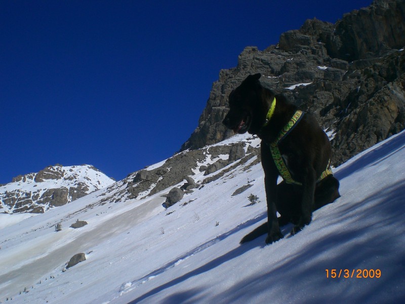#6 Versant S-W Tête Lauzières : Vue depuis le haut du ravin des Traversières.
A gauche on distingue la face sud du point 2877m. Versant S-W Tête Lauzières : Vue depuis le haut du ravin des Traversières.
A gauche on distingue la face sud du point 2877m.