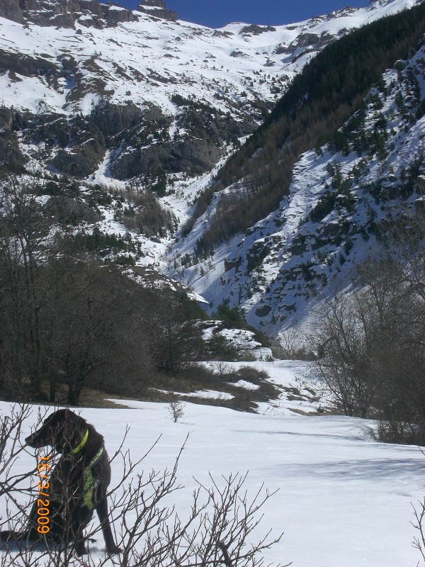 #7 Torrent de la Juliane : le ravin du Réal débouche dans le bas du torrent de la Juliane. La rive gauche NW puis W garde bien la neige.
Actuellement, cette rive gauche permet même de descendre au fond de la vallée. Torrent de la Juliane : le ravin du Réal débouche dans le bas du torrent de la Juliane. La rive gauche NW puis W garde bien la neige.
Actuellement, cette rive gauche permet même de descendre au fond de la vallée.