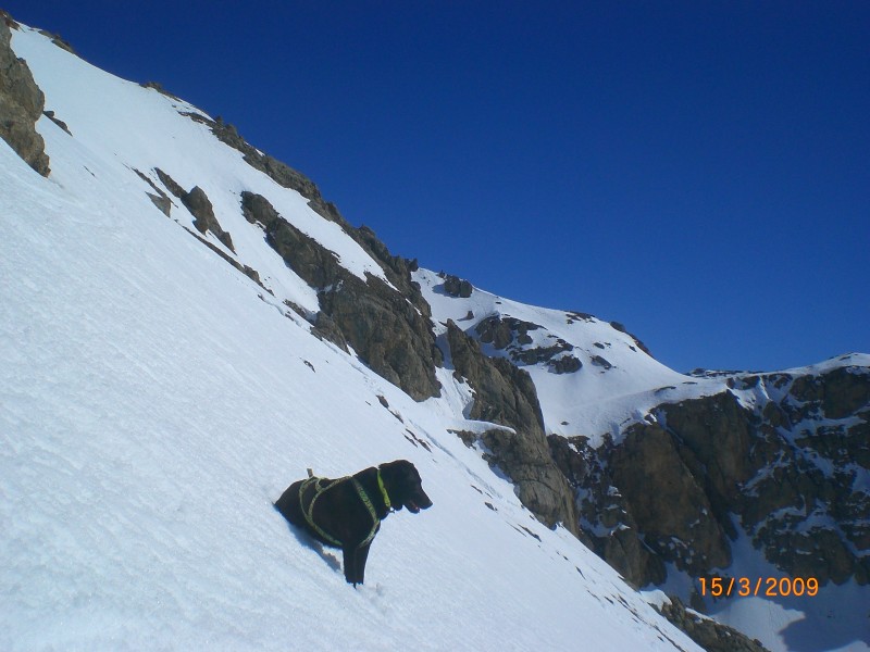 #2 face sud sous point 2877m : Belle neige de printemps dans cette descente sous le point 2877. ( 450m de 35°) face sud sous point 2877m : Belle neige de printemps dans cette descente sous le point 2877. ( 450m de 35°)