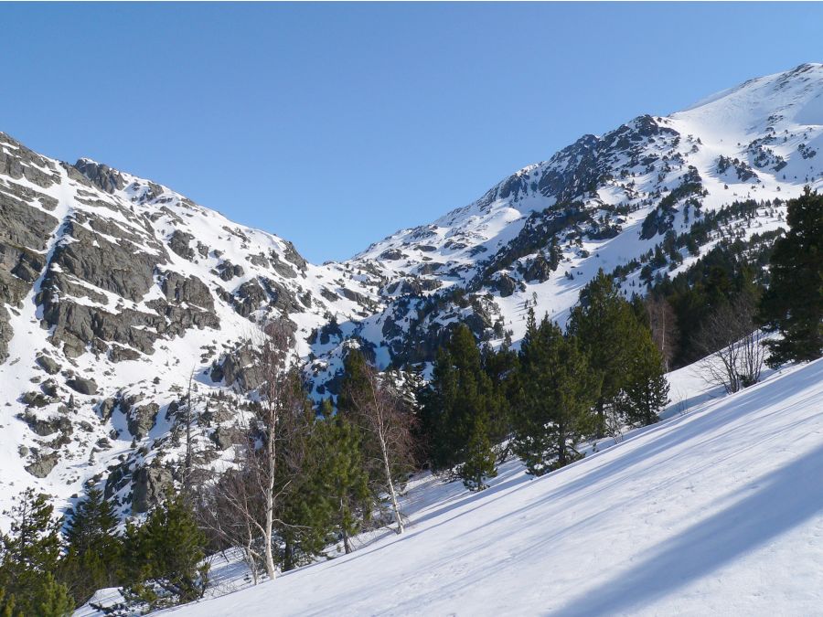 #1 Pic de la Cabaneta : La montée en forêt, hors de l Pic de la Cabaneta : La montée en forêt, hors de l'itinéraire classique .
