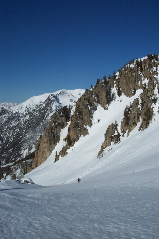 Vallon sauvage : Ambiance sauvage dans ce vallon