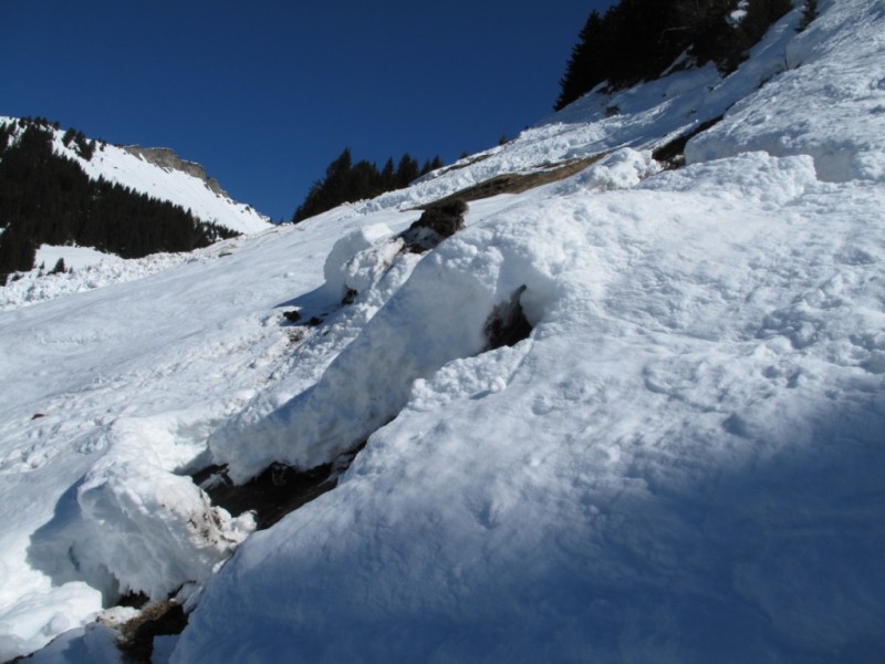 #4 Troncs : Manteaux bien travaillé et grandes gueules de poisson. Qualité de neige... Dégeu. Encore trop tôt Troncs : Manteaux bien travaillé et grandes gueules de poisson. Qualité de neige... Dégeu. Encore trop tôt
