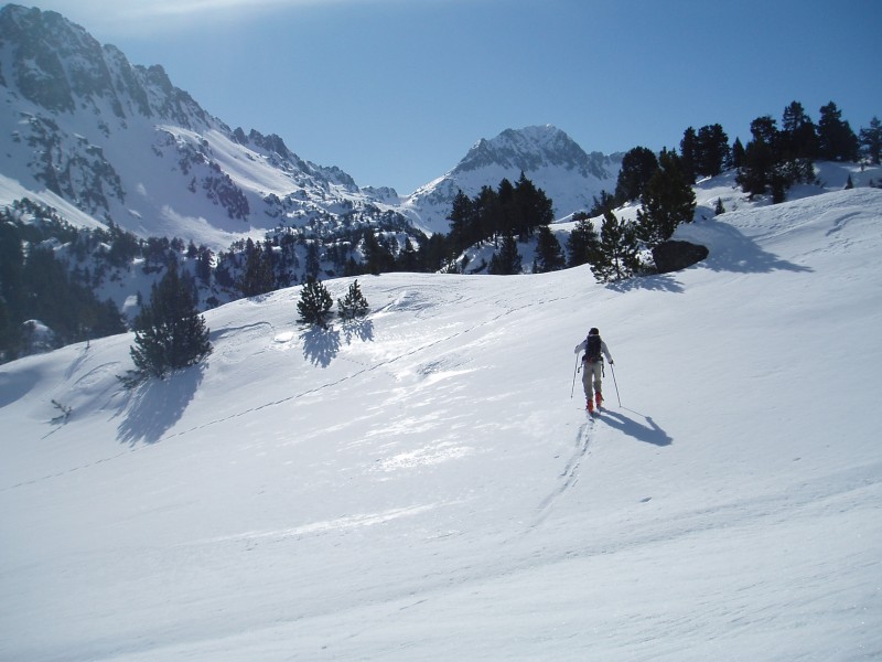 #1 Après le refuge de Colomers : Au milieu des sapins Après le refuge de Colomers : Au milieu des sapins