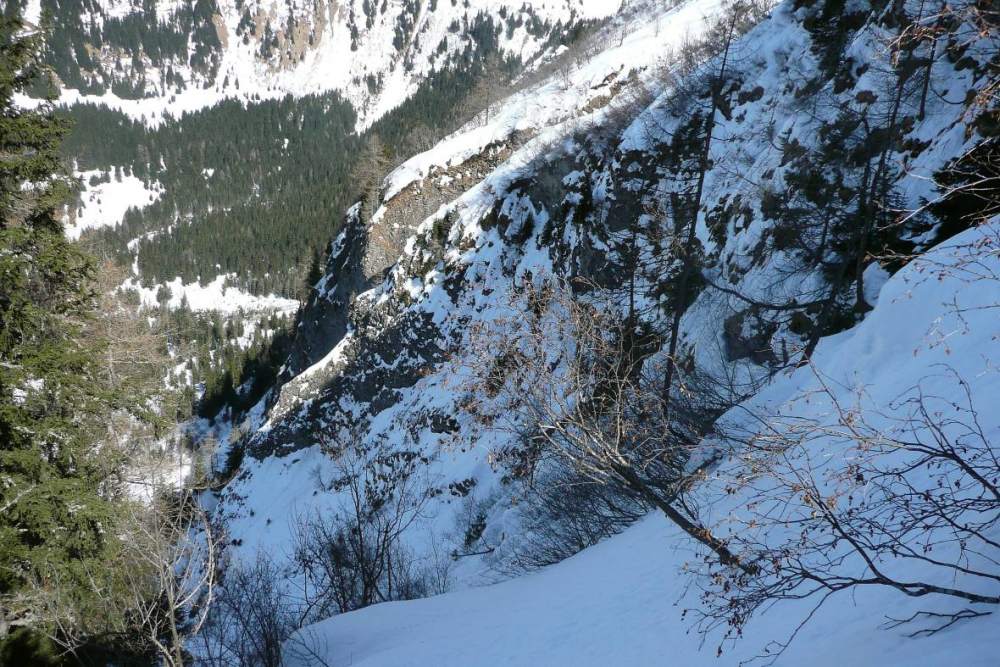 #4 La suite c La suite c'est par là : Après la traversée à droite, il faut trouver l'entrée du couloir qui descend en diagonale à droite, sous une petite barre, jusqu'à la clairière.