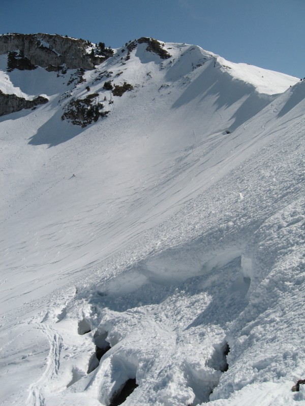 #4 Col de Bellefond : y a des seracs maintenant en Chartreuse?? Col de Bellefond : y a des seracs maintenant en Chartreuse??