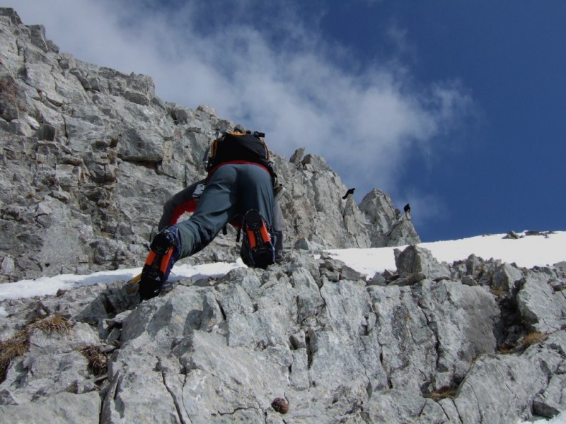 #2 couloir SO pointe Bella Cha : Escalade sommitale sous l couloir SO pointe Bella Cha : Escalade sommitale sous l'oeil des choucas