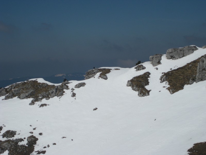 #4 Chamois : Il nous observe,+ proche qu Chamois : Il nous observe,+ proche qu'il n'y parait