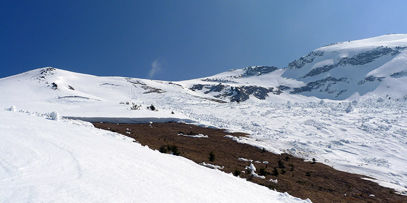 #5 Face W : Ravagée par des avalanches de fond Face W : Ravagée par des avalanches de fond