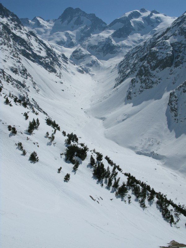 #10 Bans : Avec les arbres, c Bans : Avec les arbres, c'est joli aussi
