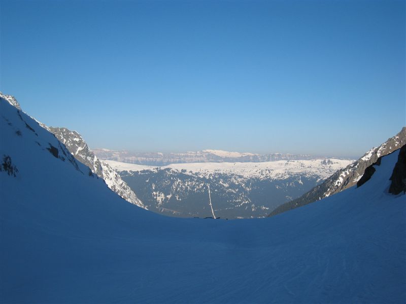 #1 Chartreuse : Froid... Chartreuse : Froid...