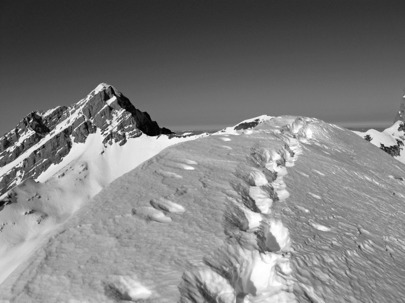 #9 Pointe Dzerat : pointe Blanche Pointe Dzerat : pointe Blanche