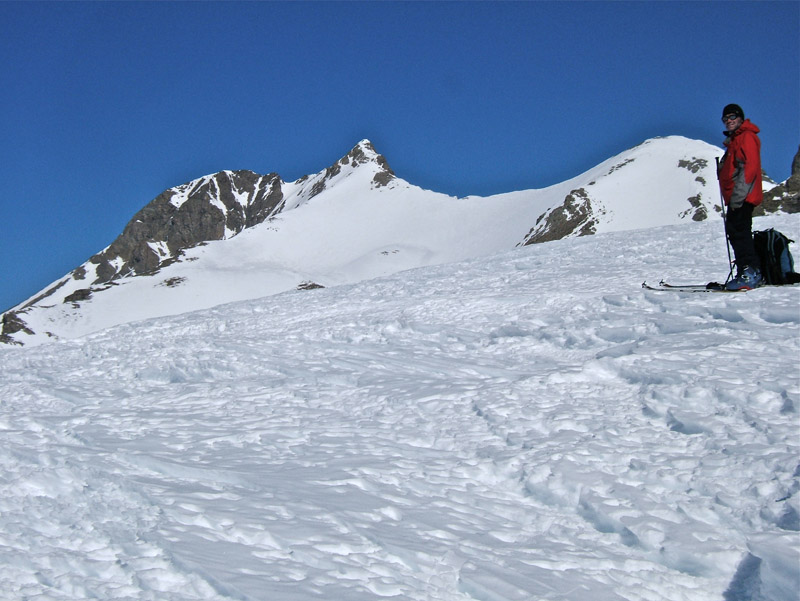 #5 Montagne de l Montagne de l'Avalanche : Su Sommet de Lausson vue sur le Pelat