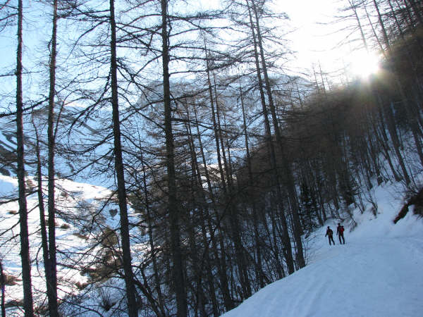 #11 Montée : Avec Stéphane dans la montée, vivement le soleil car ça caille, on devine Roche Close à travers les arbres Montée : Avec Stéphane dans la montée, vivement le soleil car ça caille, on devine Roche Close à travers les arbres