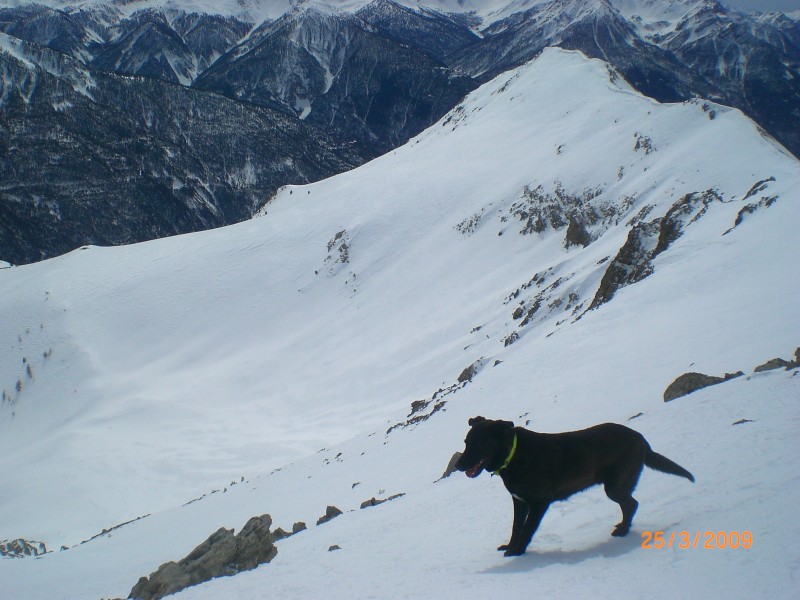 #8 vue sur le haut du vallon : L vue sur le haut du vallon : L'enneigement est bon dans tout ce vallon.
(5cm de neige fraîche sur fond dur et uniforme)