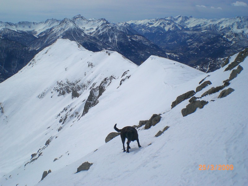 #6 sous le sommet : Vue sur les crêtes et sur le Serre des Aigles sous le sommet : Vue sur les crêtes et sur le Serre des Aigles