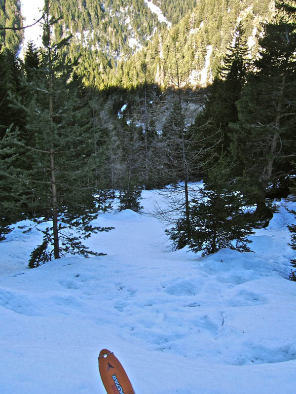 #2 LECHE : Du sentier pédestre le petit vallon que j LECHE : Du sentier pédestre le petit vallon que j'ai pris à la montée et en bas le tas de bois laissé par l'avalanche.