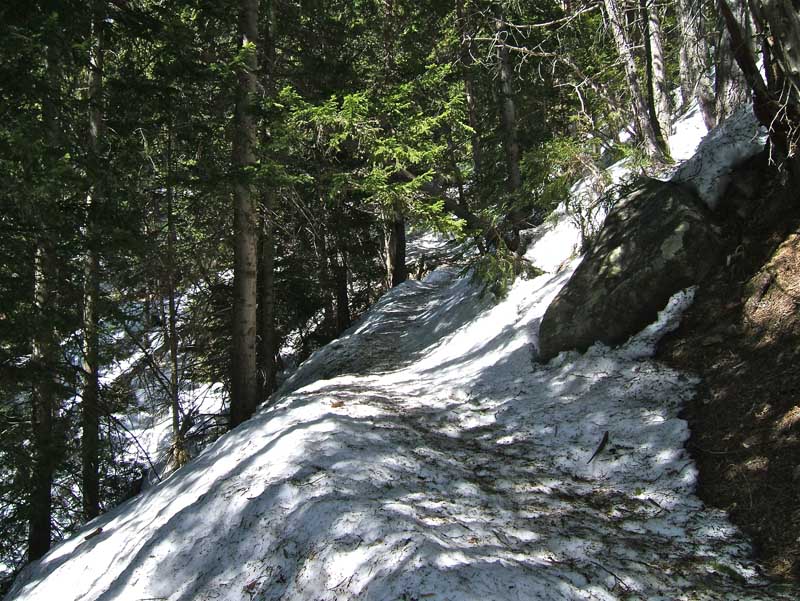 LECHE : Le sentier descendant sur le Boréon encore bien enneigé mais très sale et quelques partie déneigée, neige très dure sur la sente.