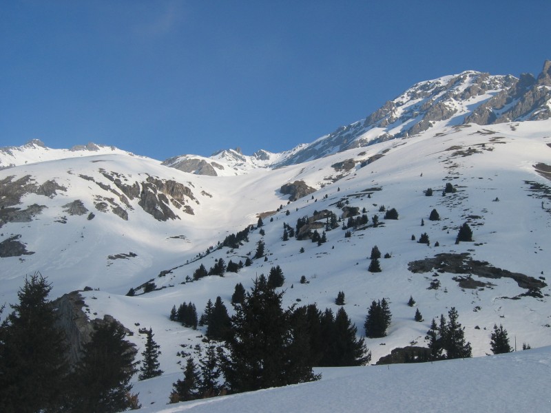 #1 Objectif en vue ! : Le GRN est encore bien loin... Objectif en vue ! : Le GRN est encore bien loin...