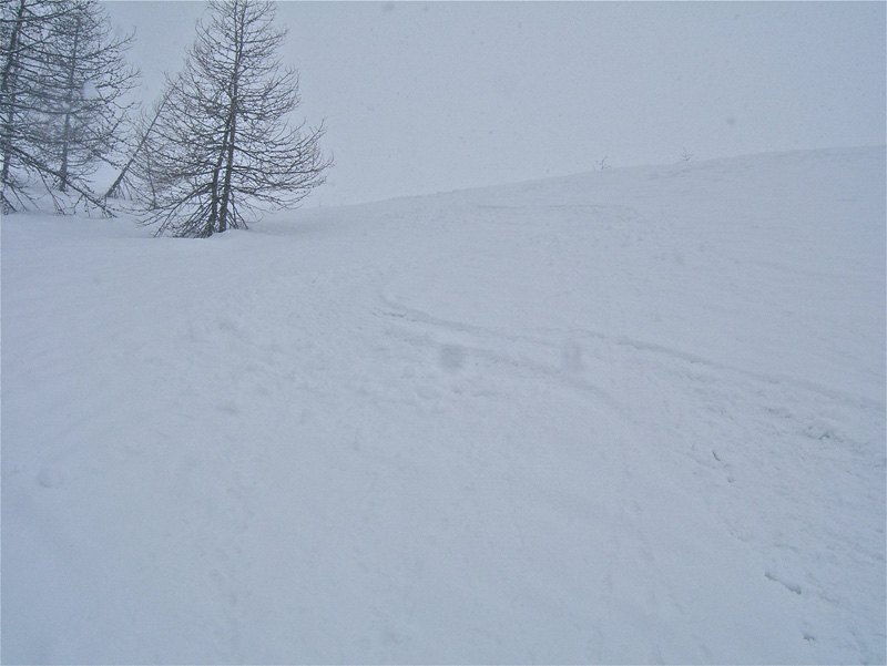 #5 Escuzier : Nos traces dans de la bonne poudre et dans le brouillard. Escuzier : Nos traces dans de la bonne poudre et dans le brouillard.