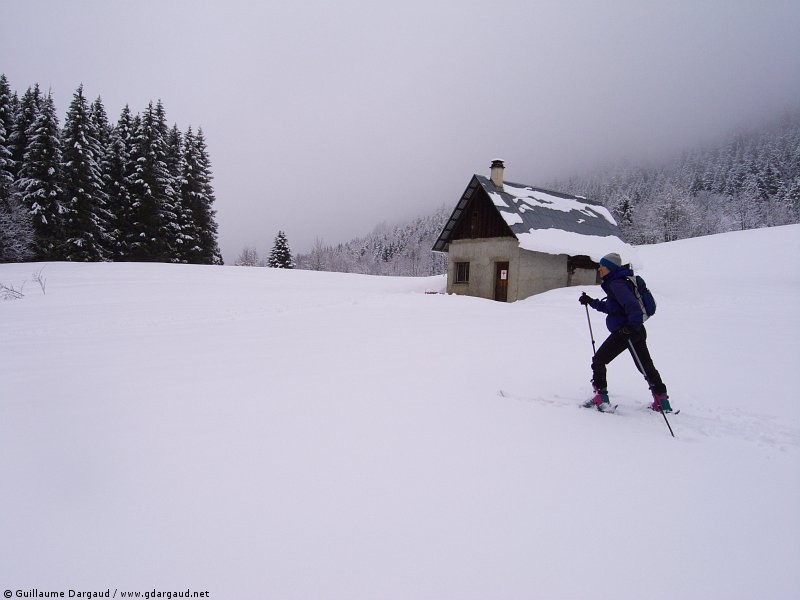 Refuge de Pleynon : Bonne poudre devant l'abri Pleynon, mais pas assez de pente !