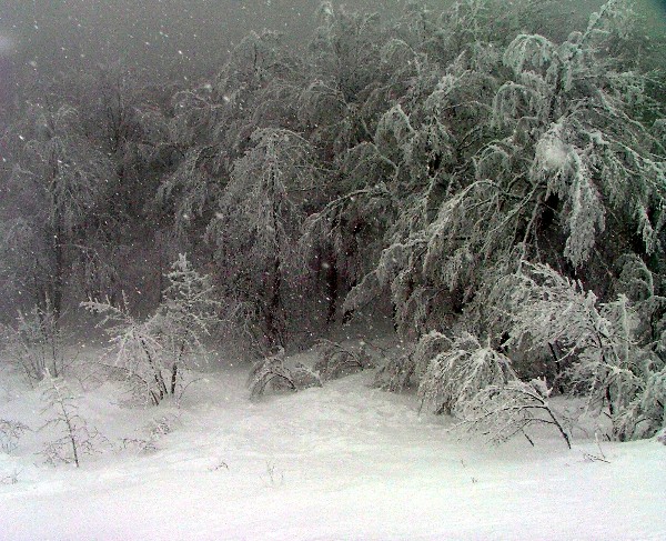 #2 Non loin du sommet : Vision d Non loin du sommet : Vision d'enfer...