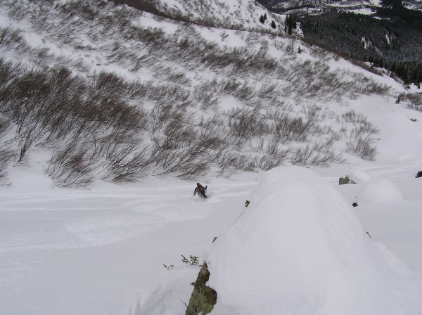 #3 Bonne poudre : Très bonne neige sur le bas à côté des vernes Bonne poudre : Très bonne neige sur le bas à côté des vernes