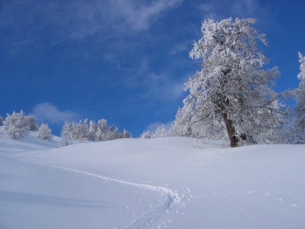#1 Crête de la Brèche : En sortant de la forêt, on rejoint la crête de la Brèche Crête de la Brèche : En sortant de la forêt, on rejoint la crête de la Brèche