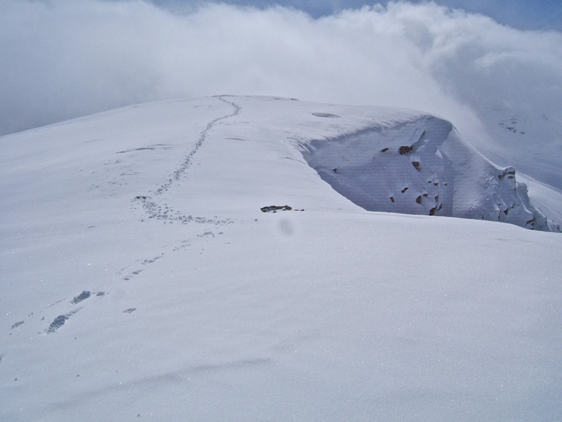 #7 Tête Ronde de l Tête Ronde de l'Escuzier : Mes ski sont tout au bout, brrr quel vent!