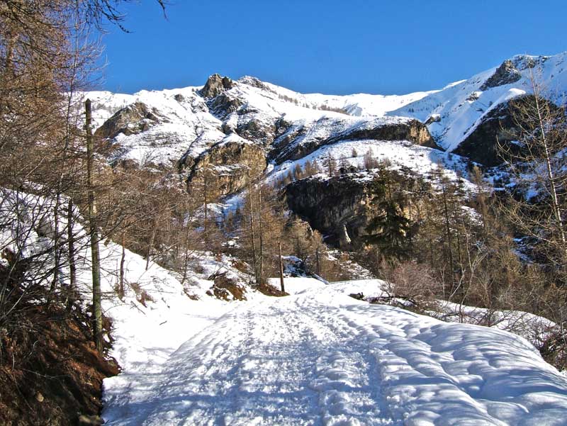 #1 Tête Ronde de l Tête Ronde de l'Escuzier : Les raquetteurs,nombreux, de la veille ont fait une belle trace. Merci!