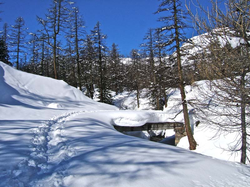 #3 Tête Ronde de l Tête Ronde de l'Escuzier : On ne voit plus le Porche du panneau du Parc Mercantour qu'on devinait encore samedi.