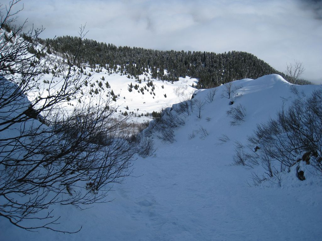 #10 Barlet Couloir en S : partie basse du couloir. la neige a été lissée par une coulée Barlet Couloir en S : partie basse du couloir. la neige a été lissée par une coulée