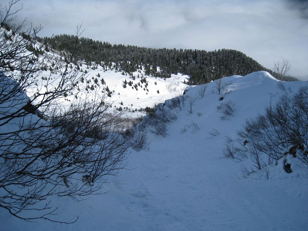 Barlet Couloir en S : partie basse du couloir. la neige a été lissée par une coulée