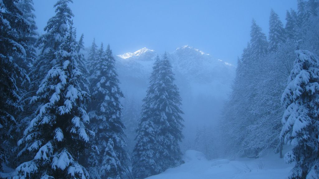 Barlet Couloir en S : sortie de la foret... et du brouillard