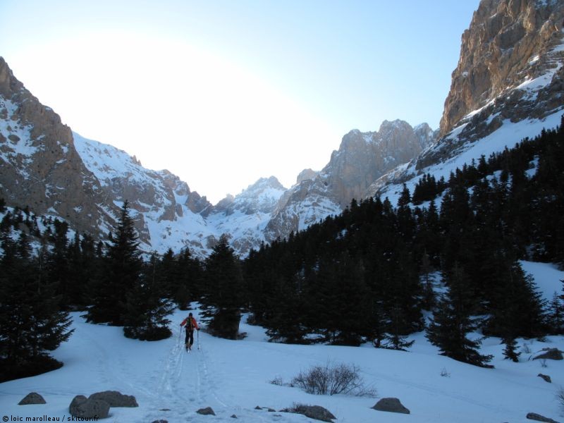 #10 Guzeler : Passage dans la foret Guzeler : Passage dans la foret