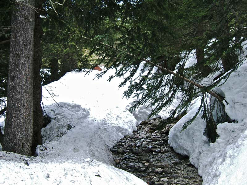 Caïre d'Archas : jamais vu autant de neige, en avril, sur les sources avant d'arriver à la vacherie de Salèse.