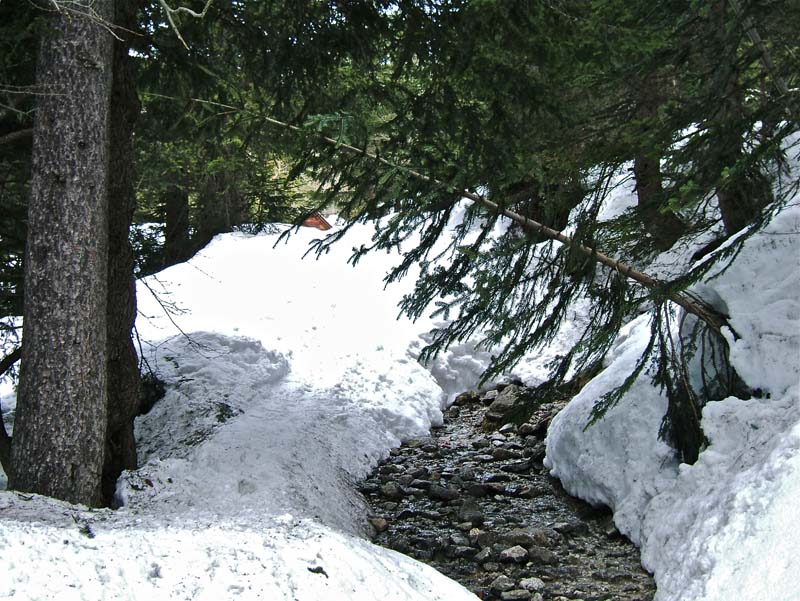 #2 Caïre d Caïre d'Archas : jamais vu autant de neige, en avril, sur les sources avant d'arriver à la vacherie de Salèse.