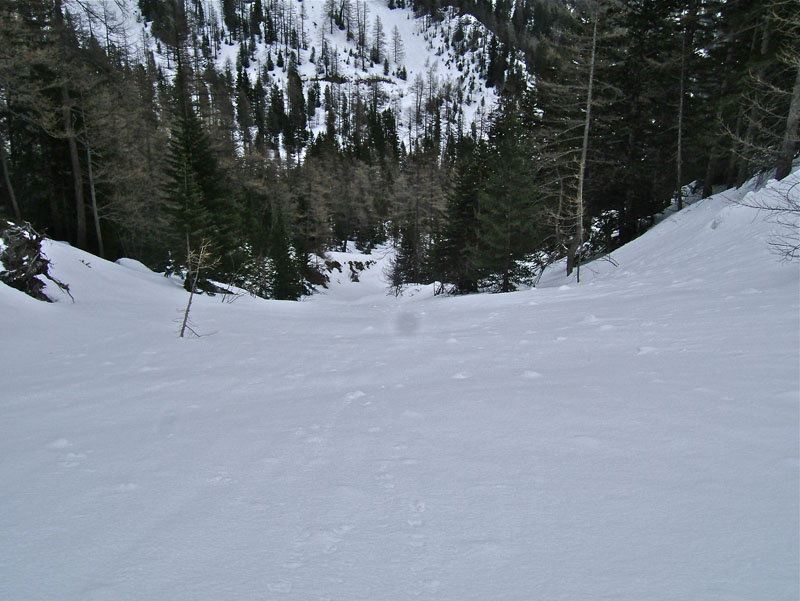 #13 Caïre d Caïre d'Archas : Le bas du couloir n'a pas de coulée, çà promet quelques beaux virages avant une petite virée sanglier pour retrouver la vacherie de Salèse.