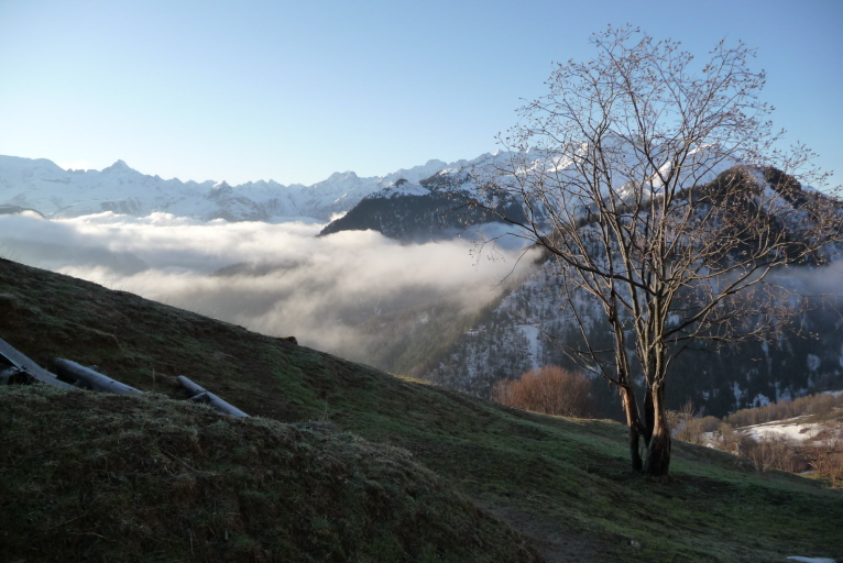 #7 matin tranquille : unavant gout de printemps sur l matin tranquille : unavant gout de printemps sur l'oisans