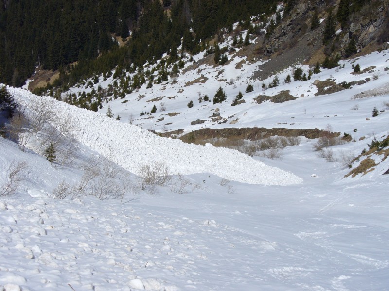 #6 Défilé de la Malsanne : Ce défilé de la Malsanne est criblé de coulées d Défilé de la Malsanne : Ce défilé de la Malsanne est criblé de coulées d'avalanches...