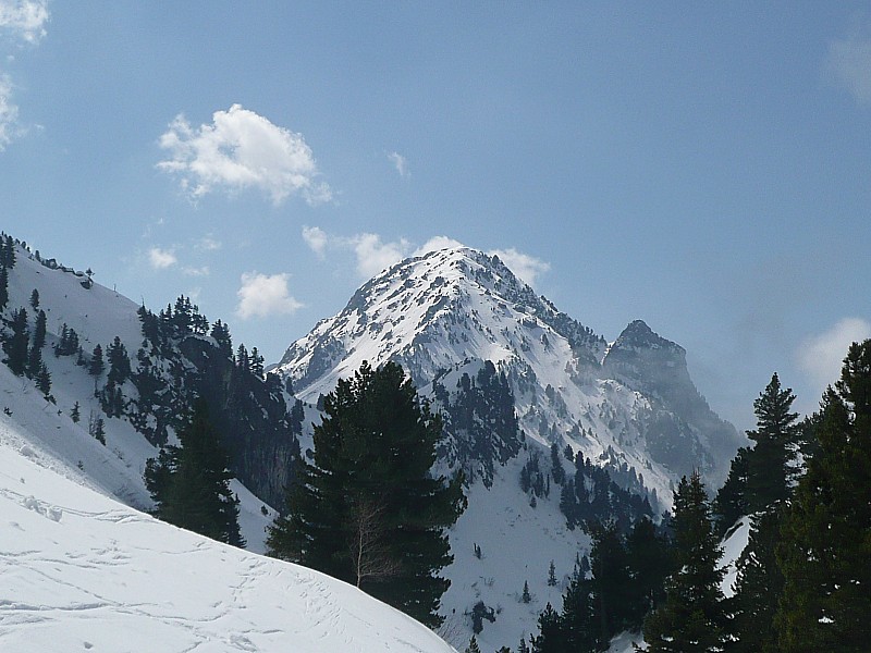 #6 Grand-Eulier : Grand-Eulier versant nord. Grand-Eulier : Grand-Eulier versant nord.