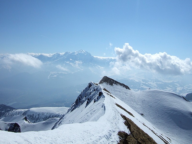 Tardevant : L'arête d'accès au sommet. L'Ambrevetta, le Mt Blanc